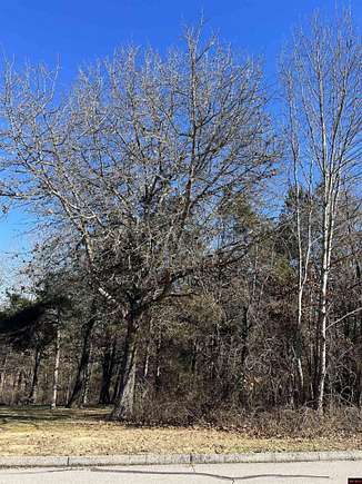 0.75 Acres of Residential Land for Sale in Mountain Home, Arkansas