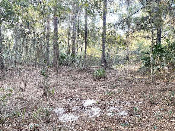 0.34 Acres of Residential Land for Sale in Florahome, Florida