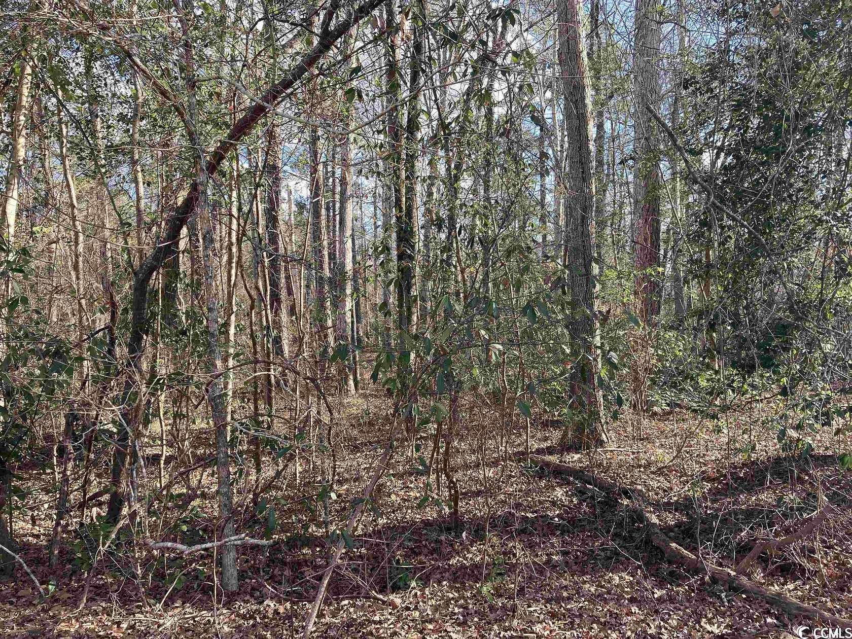 0.33 Acres of Residential Land for Sale in Johnsonville, South Carolina