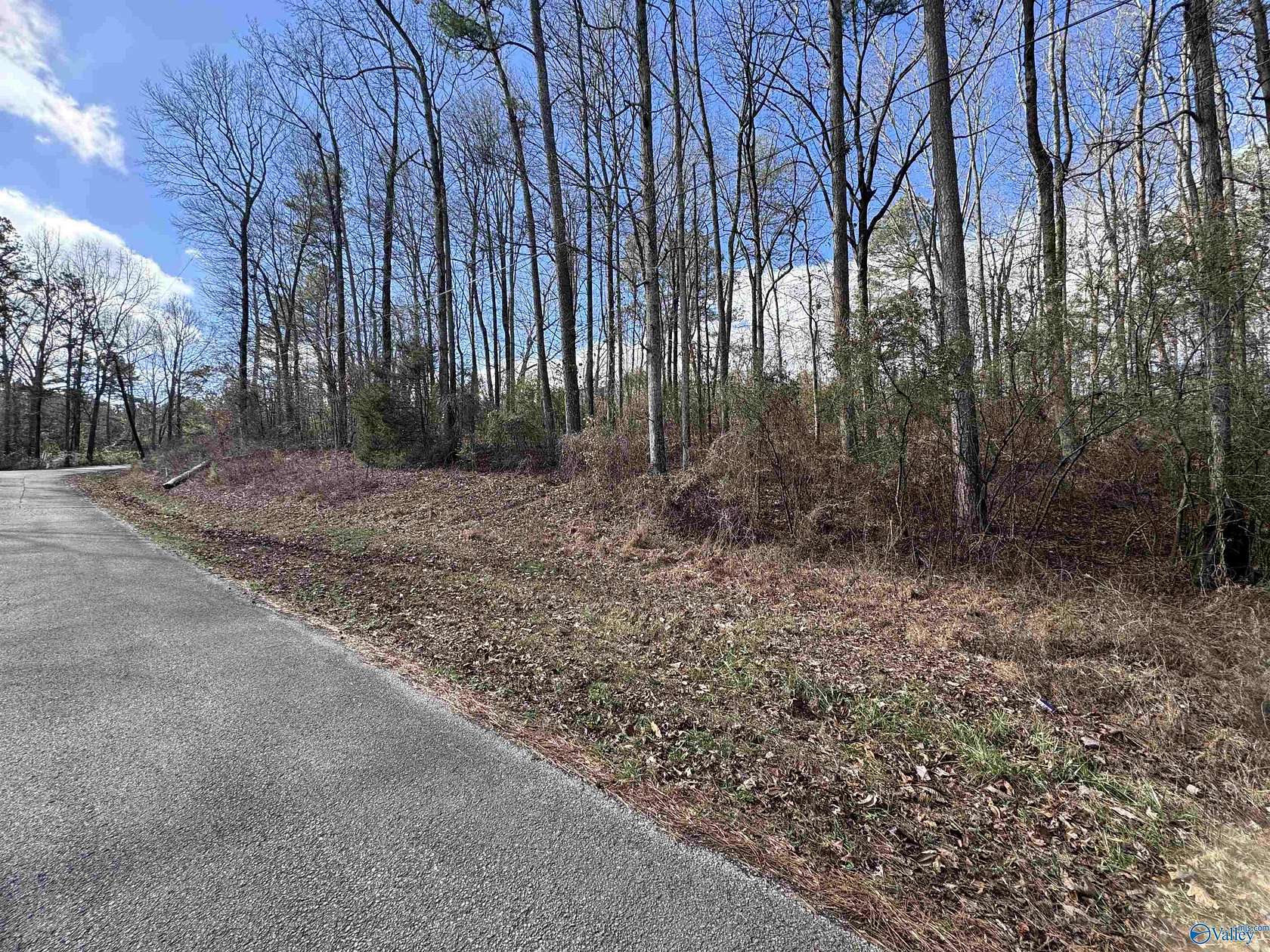 1.1 Acres of Land for Sale in Double Springs, Alabama