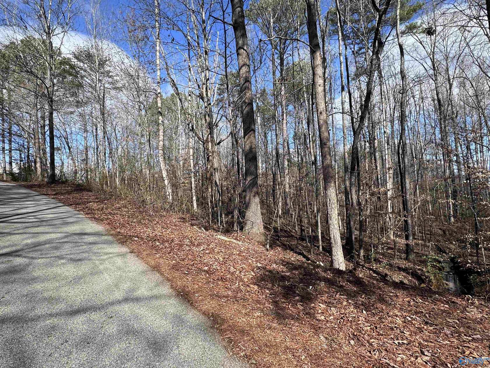 2.8 Acres of Land for Sale in Double Springs, Alabama