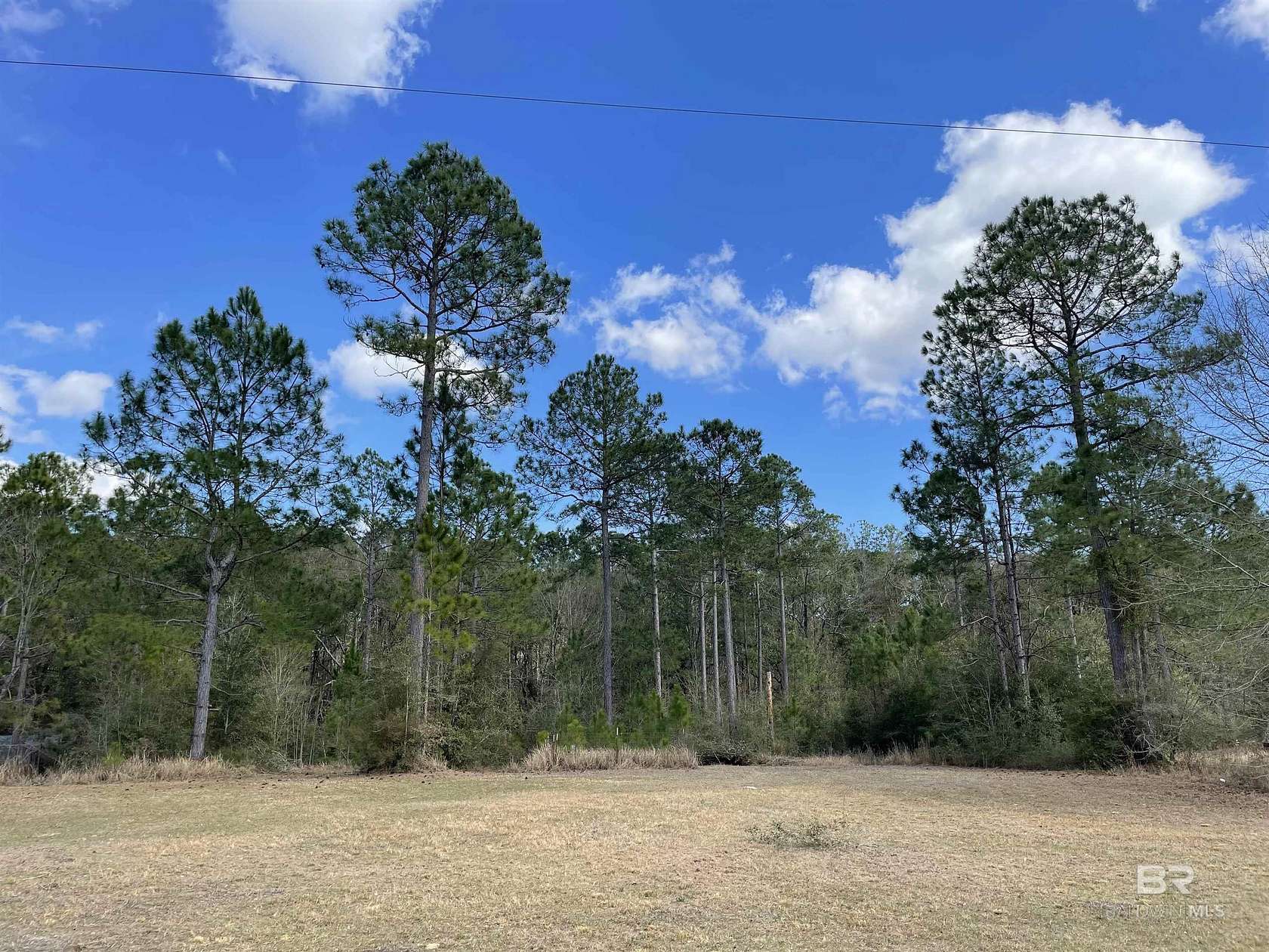 1 Acre of Residential Land for Sale in Grand Bay, Alabama