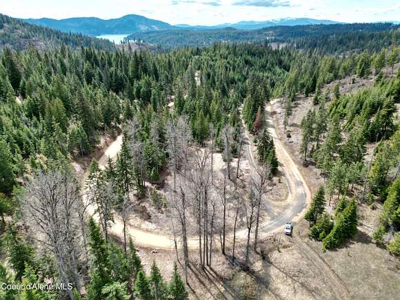40 Acres of Land for Sale in Hayden, Idaho