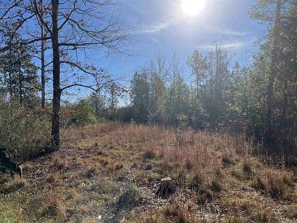 11 Acres of Recreational Land with Home for Sale in Newton, Texas