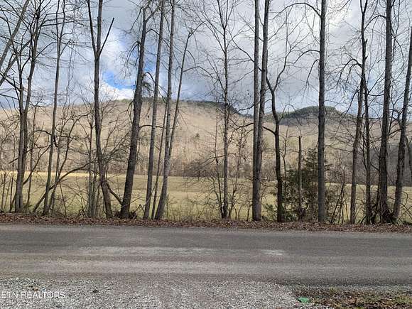 10 Acres of Residential Land for Sale in Pall Mall, Tennessee