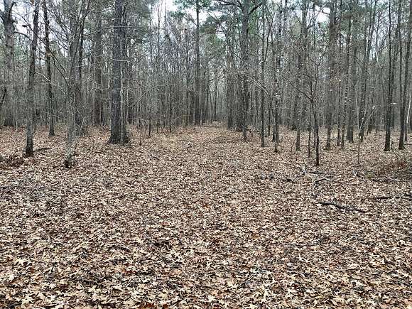20 Acres of Recreational Land for Sale in Benton, Louisiana