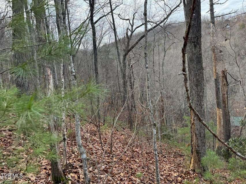 0.67 Acres of Residential Land for Sale in Sevierville, Tennessee