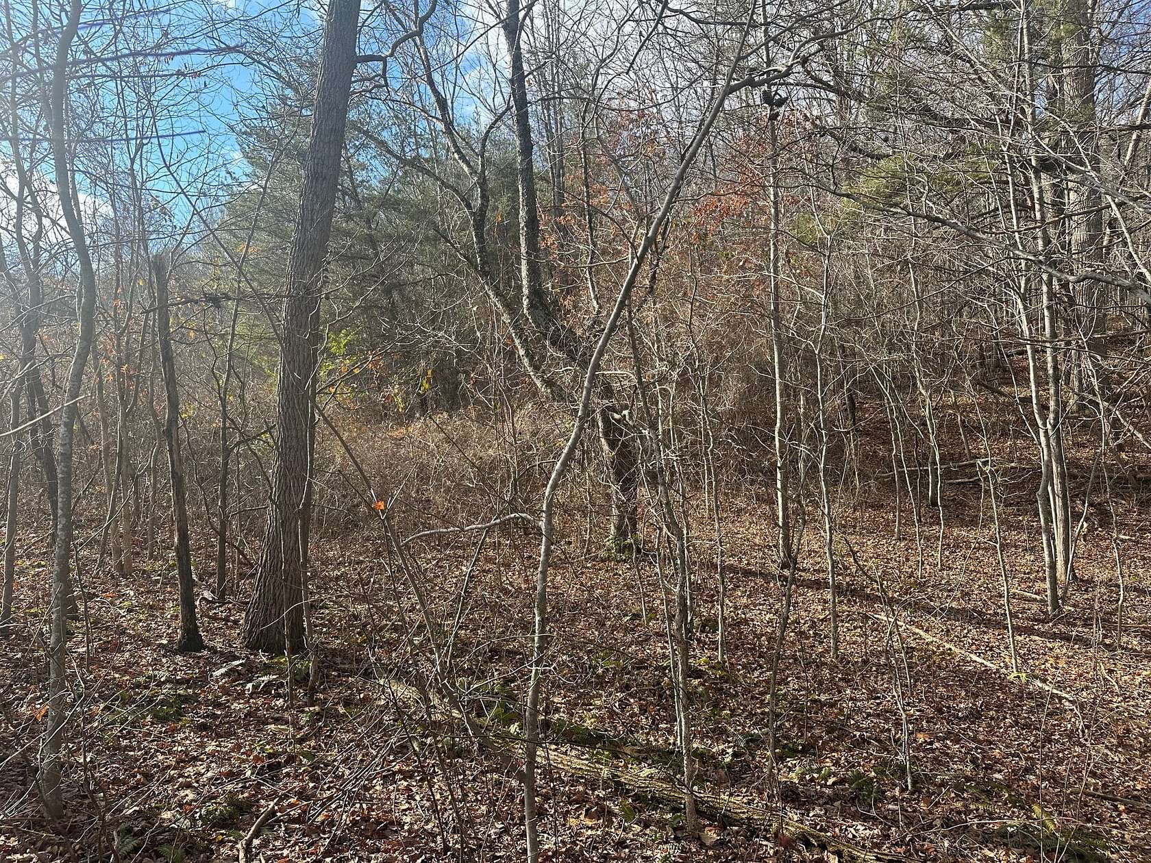 18 Acres of Land for Sale in Whitwell, Tennessee