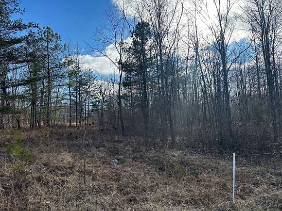 5 Acres of Residential Land for Sale in Palmer, Tennessee