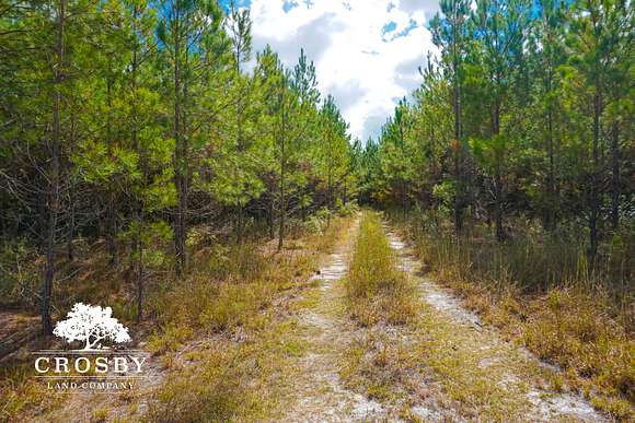124 Acres of Recreational Land for Sale in Ludowici, Georgia
