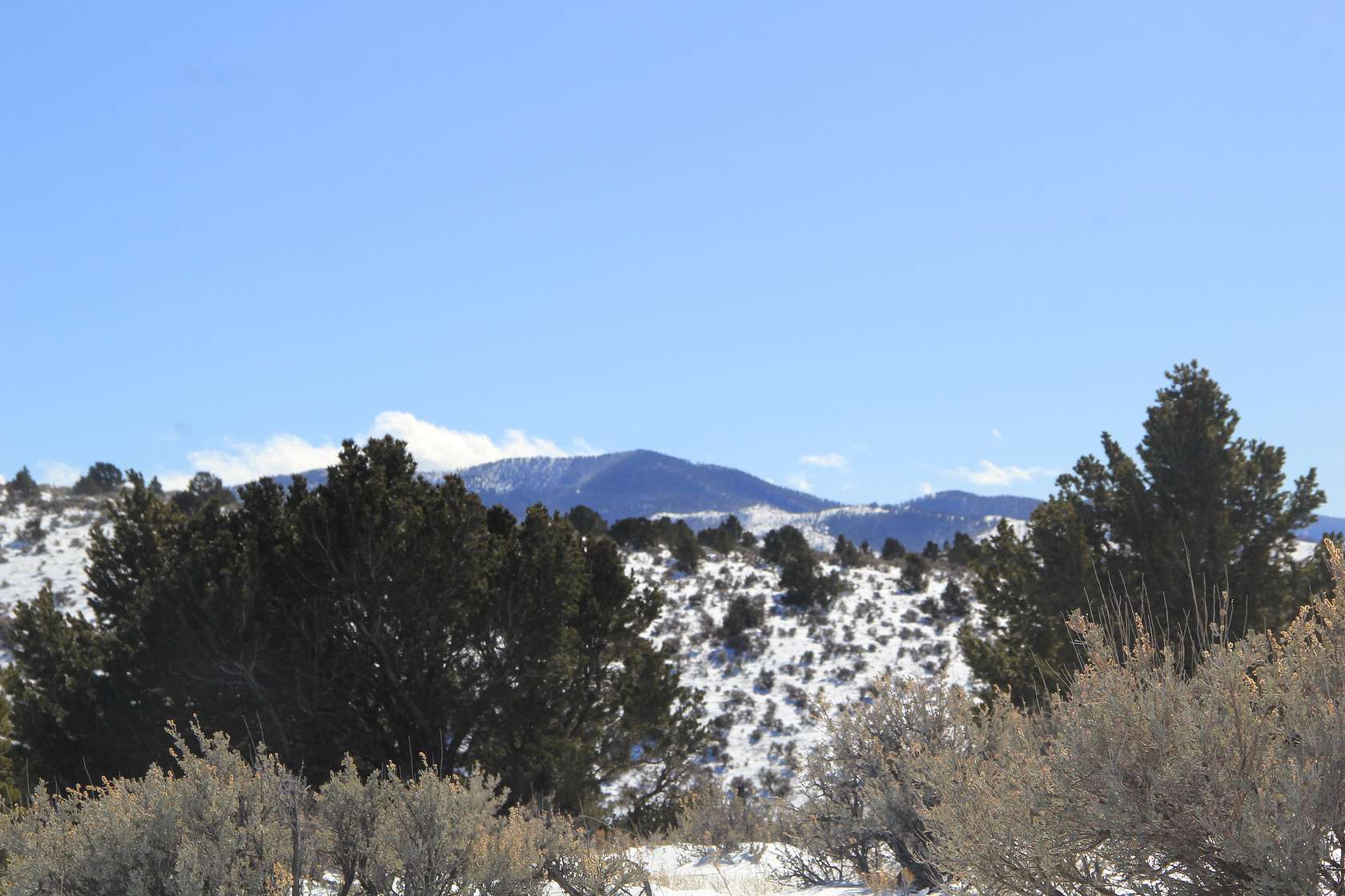 5.1 Acres of Residential Land for Sale in Fort Garland, Colorado