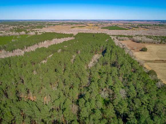 84.4 Acres of Recreational Land for Sale in Orangeburg, South Carolina