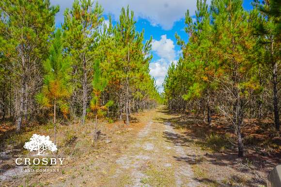 75 Acres of Recreational Land for Sale in Ludowici, Georgia