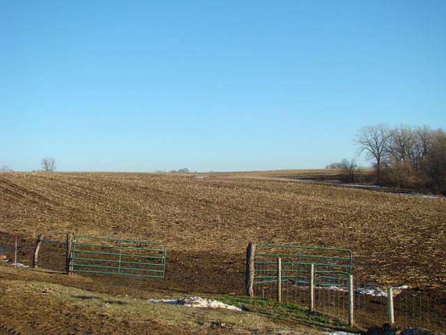 80 Acres of Recreational Land & Farm for Sale in Clio, Iowa