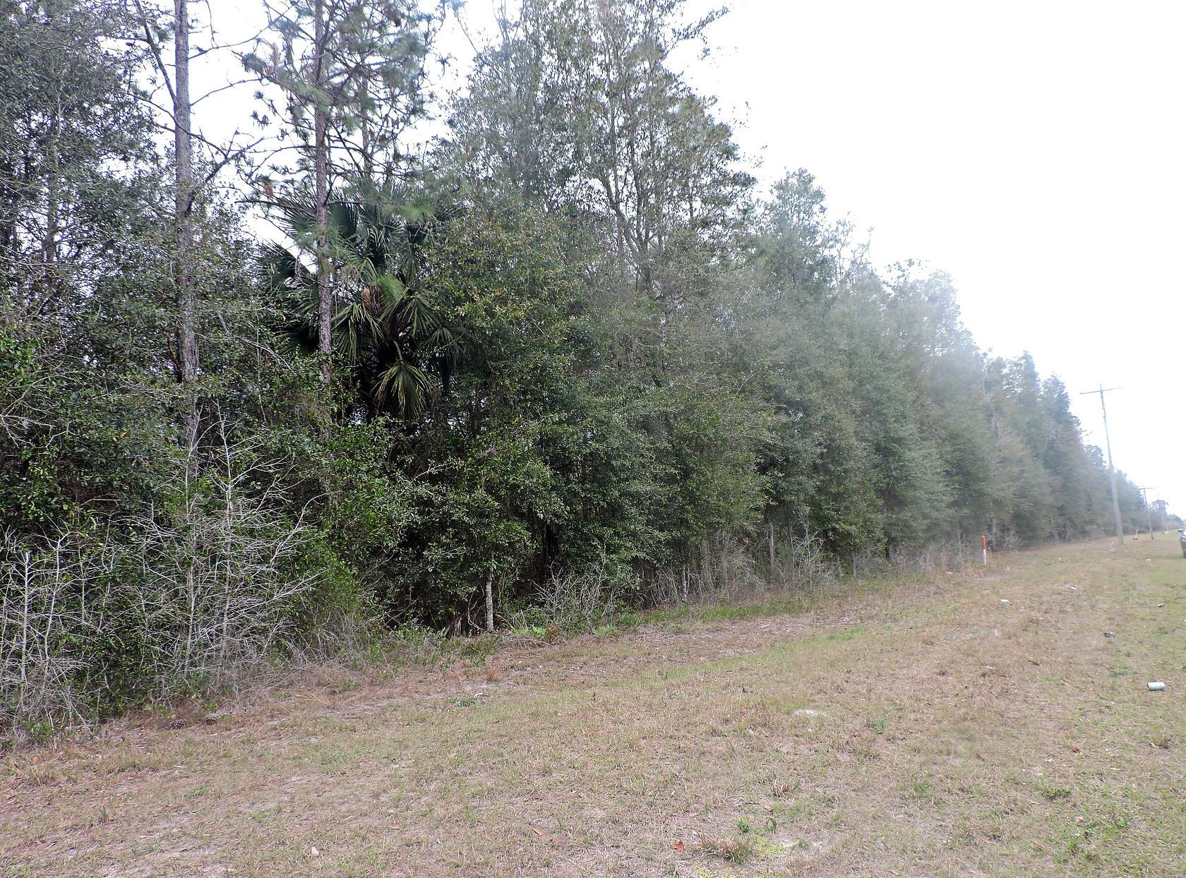 12.5 Acres of Land for Sale in Hawthorne, Florida