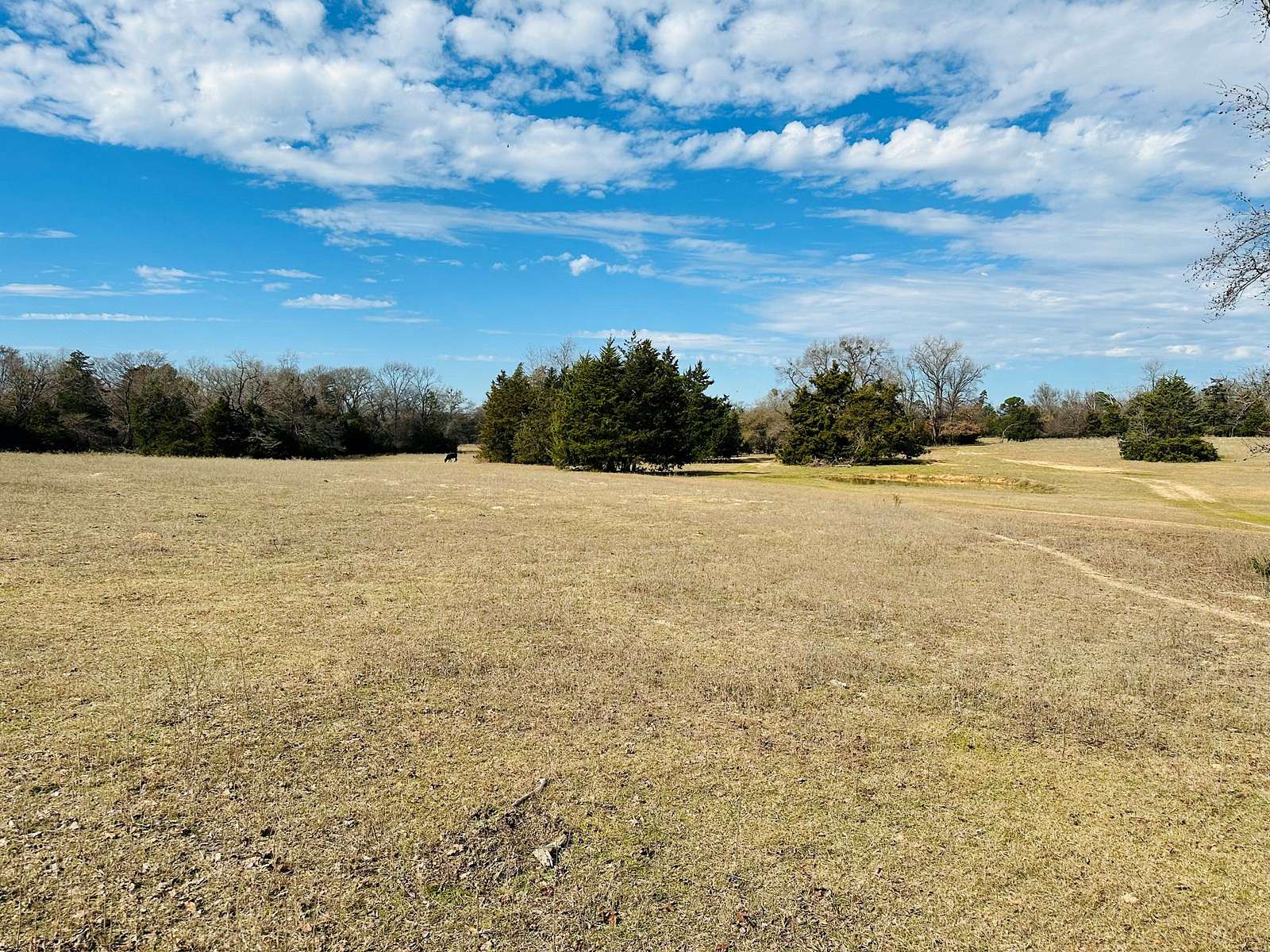 52.6 Acres of Recreational Land & Farm for Sale in Winnsboro, Texas