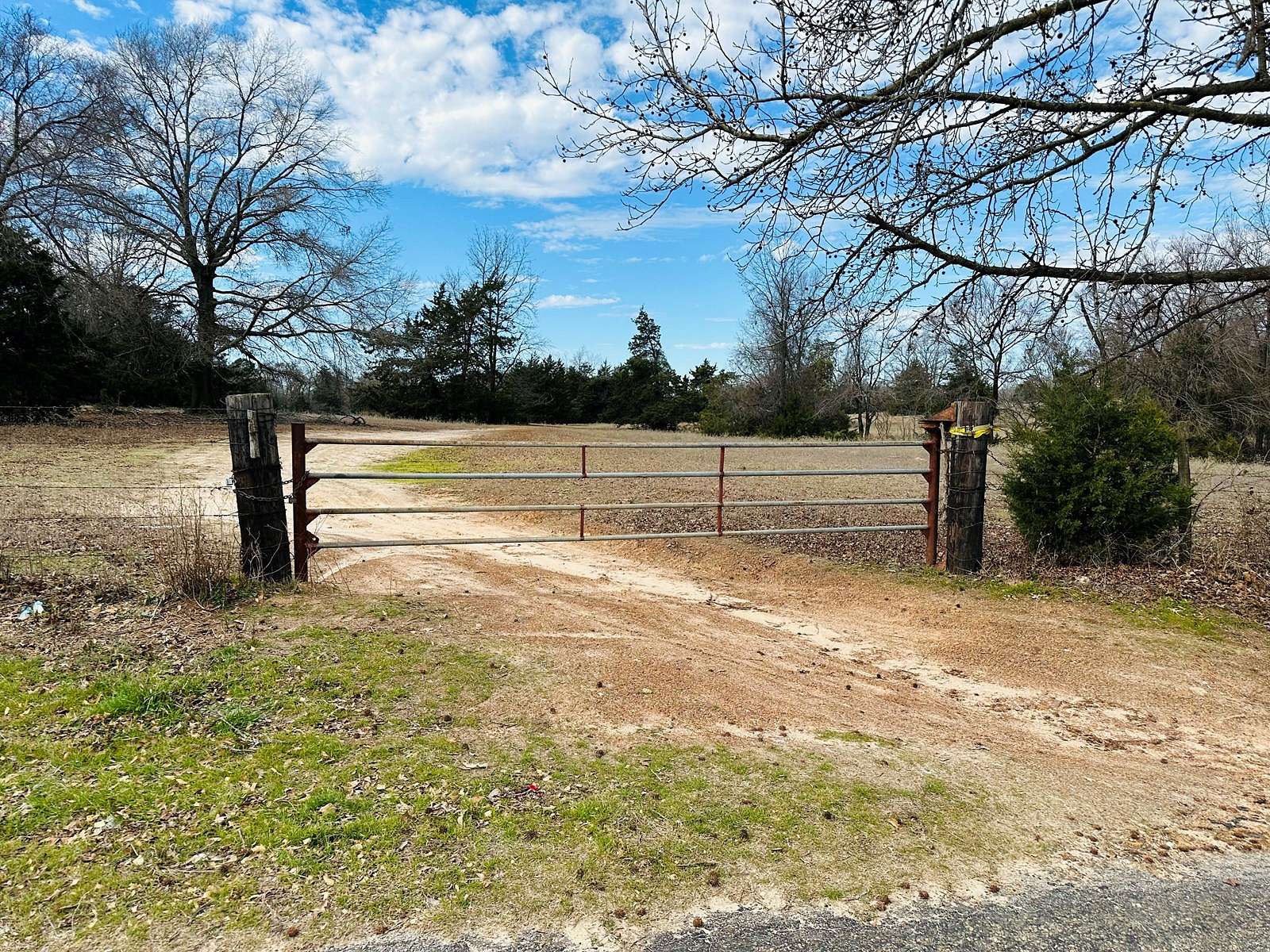 52.6 Acres of Recreational Land & Farm for Sale in Winnsboro, Texas