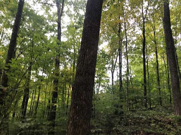 60.8 Acres of Land for Sale in Thorn Hill, Tennessee