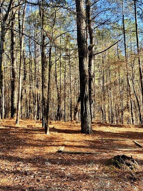 2 Acres of Land for Sale in Broken Bow, Oklahoma