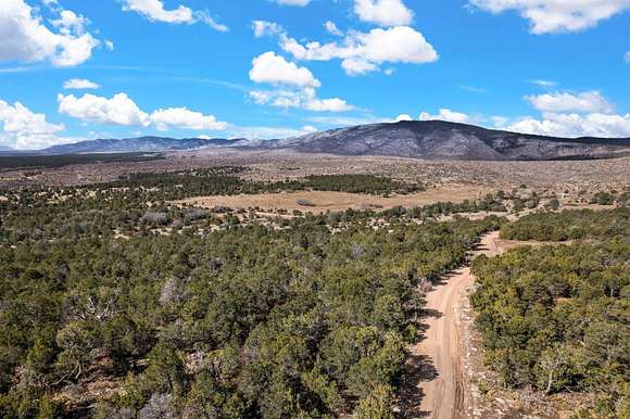 30 Acres of Land for Sale in Torreon, New Mexico