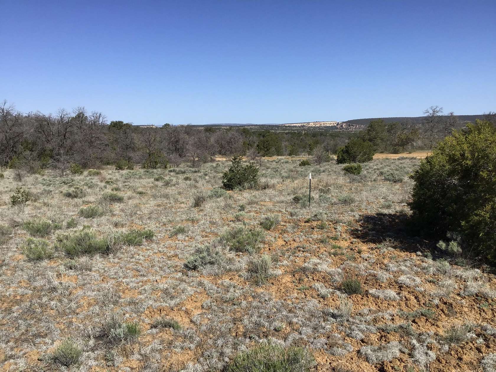 4.9 Acres of Residential Land for Sale in Ramah, New Mexico