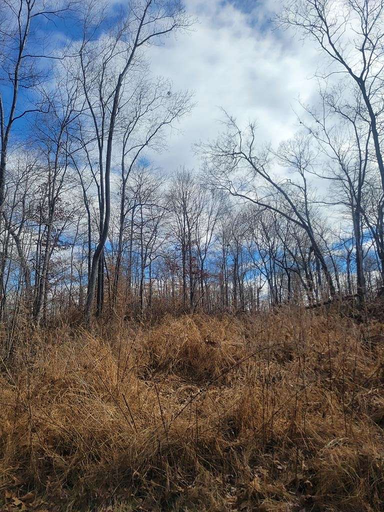 0.18 Acres of Residential Land for Sale in Bumpus Mills, Tennessee