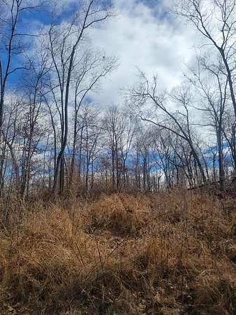 0.18 Acres of Residential Land for Sale in Bumpus Mills, Tennessee