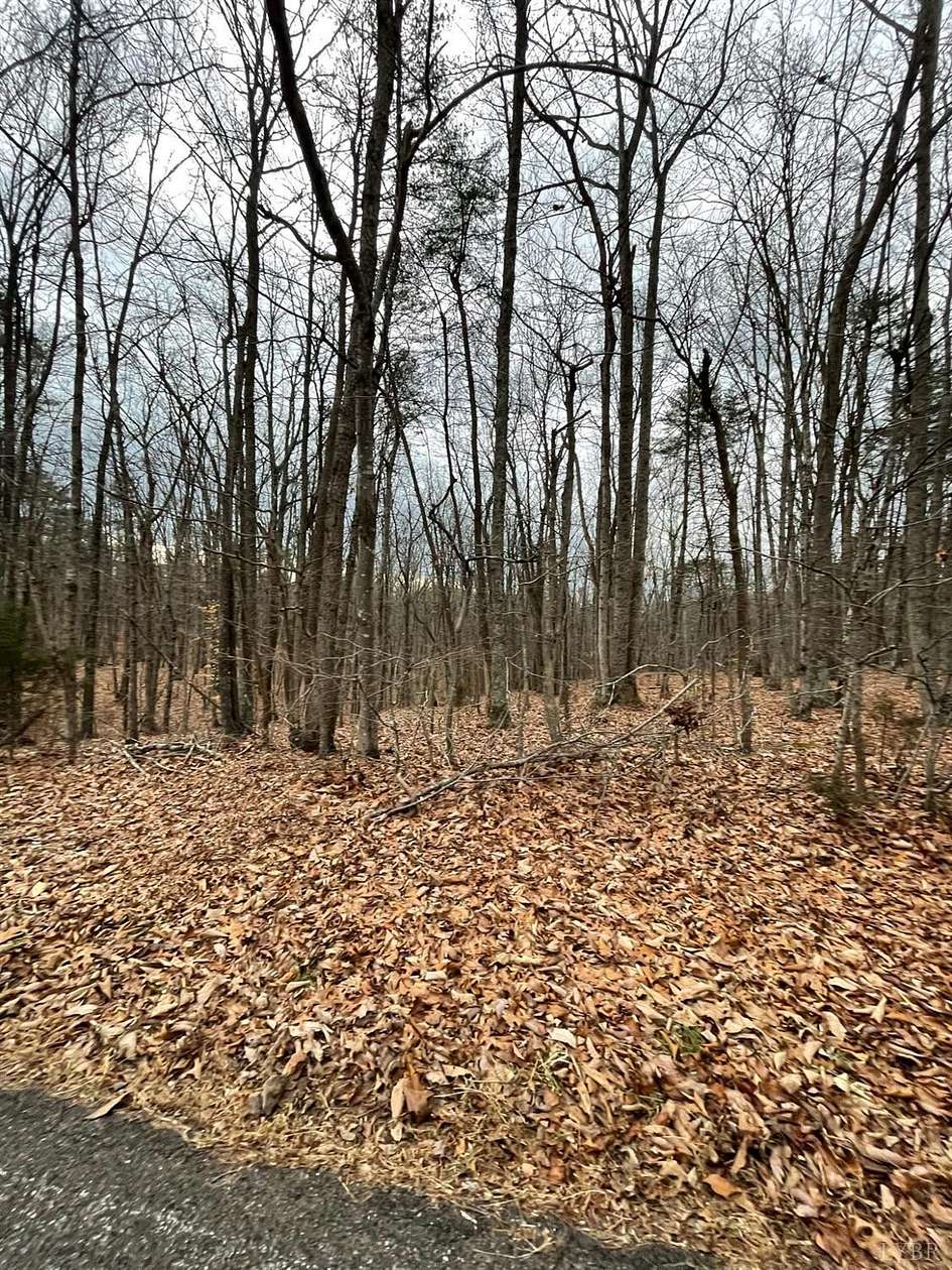 16.1 Acres of Land for Sale in Gladys, Virginia