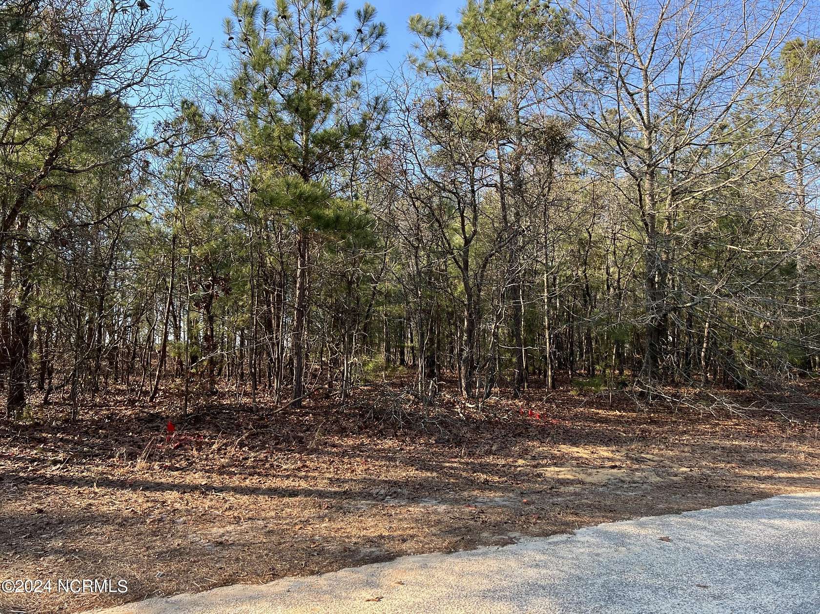 0.67 Acres of Residential Land for Sale in Garland, North Carolina