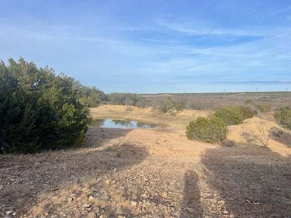 216 Acres of Recreational Land with Home for Sale in Santa Anna, Texas