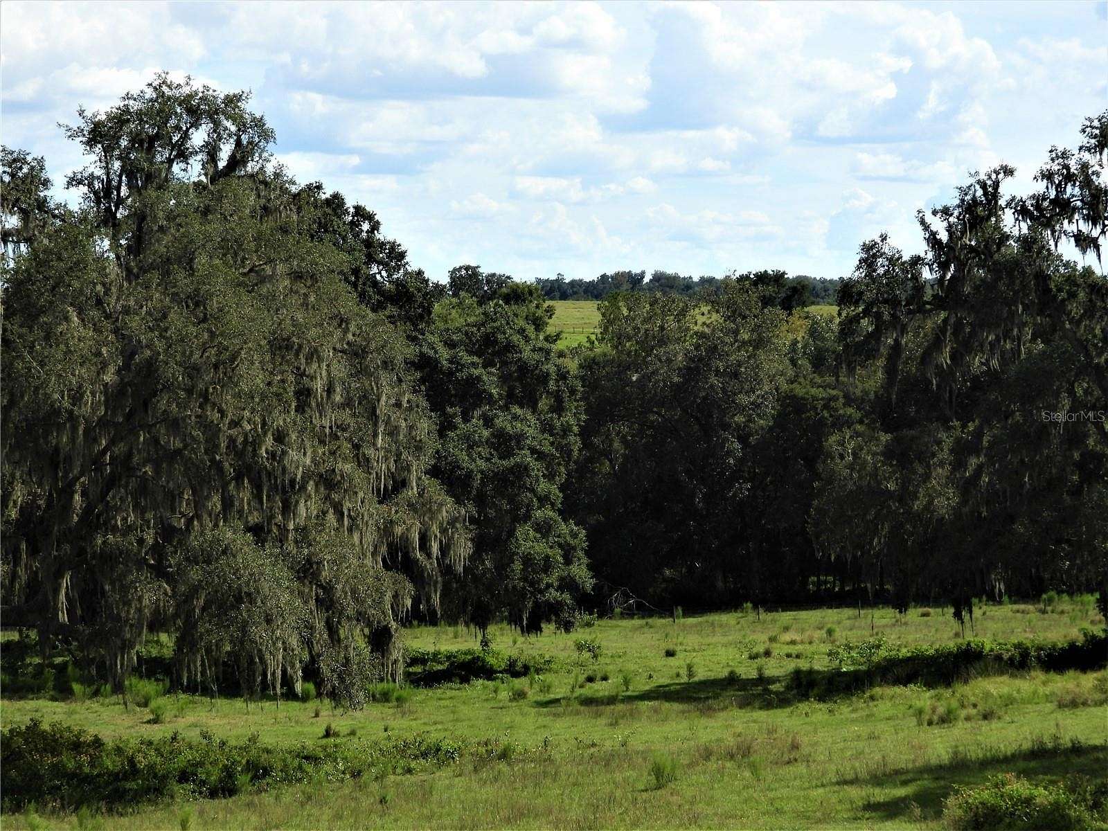 132 Acres of Agricultural Land for Sale in Dade City, Florida