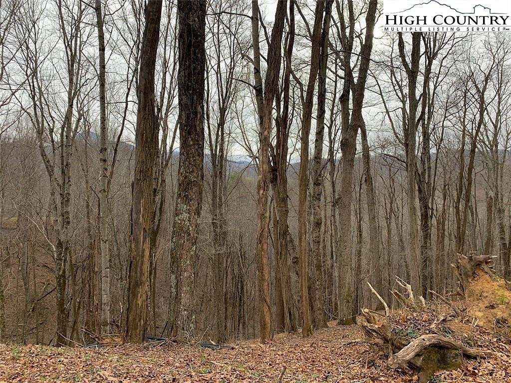 1.466 Acres of Residential Land for Sale in Creston, North Carolina