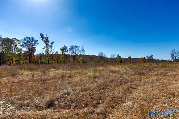 20 Acres of Recreational Land for Sale in Lester, Alabama