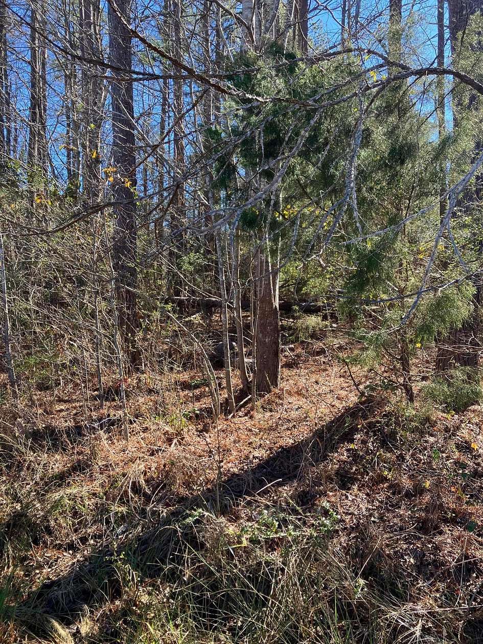 6 Acres of Residential Land for Sale in Hamilton, Alabama