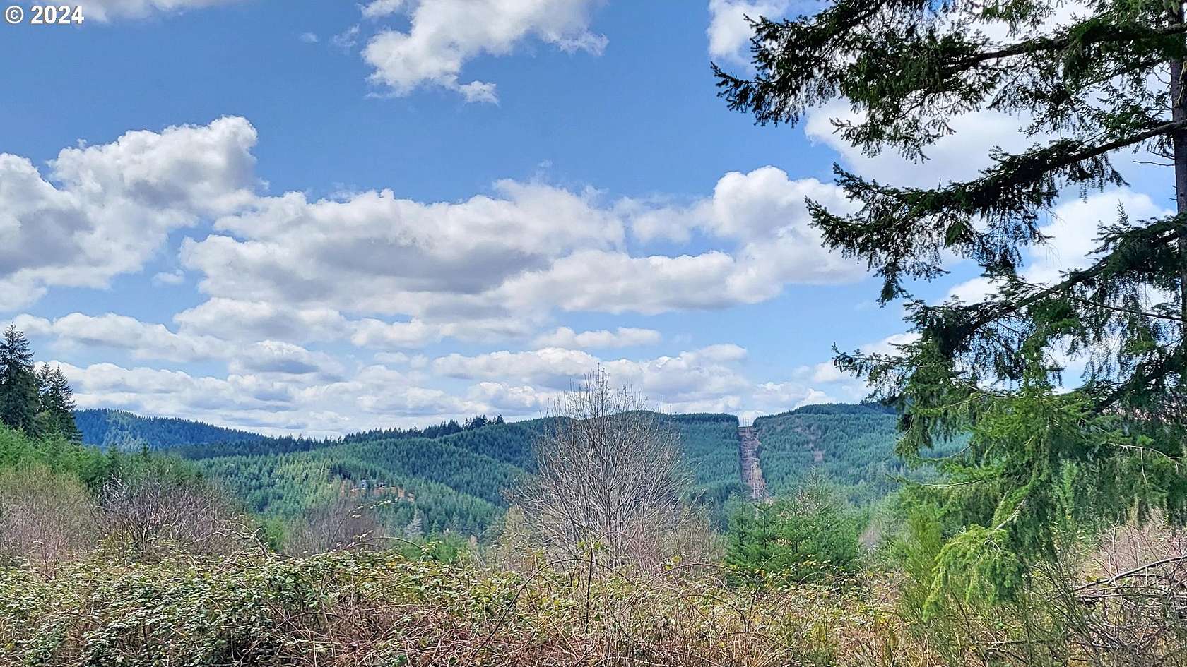 58.39 Acres of Land for Sale in Veneta, Oregon