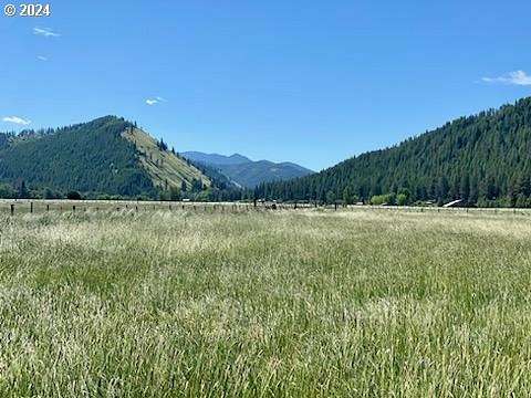 4.94 Acres of Residential Land for Sale in Wallowa, Oregon