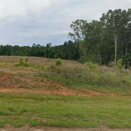 15.9 Acres of Agricultural Land for Sale in Lincolnton, Georgia