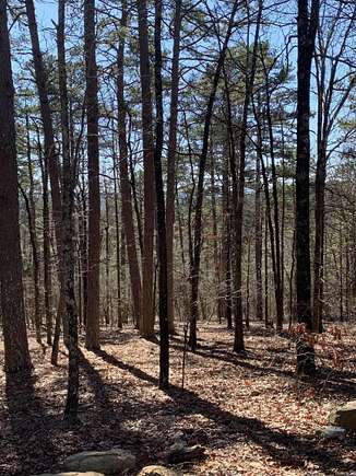 0.2 Acres of Residential Land for Sale in Hot Springs Village, Arkansas