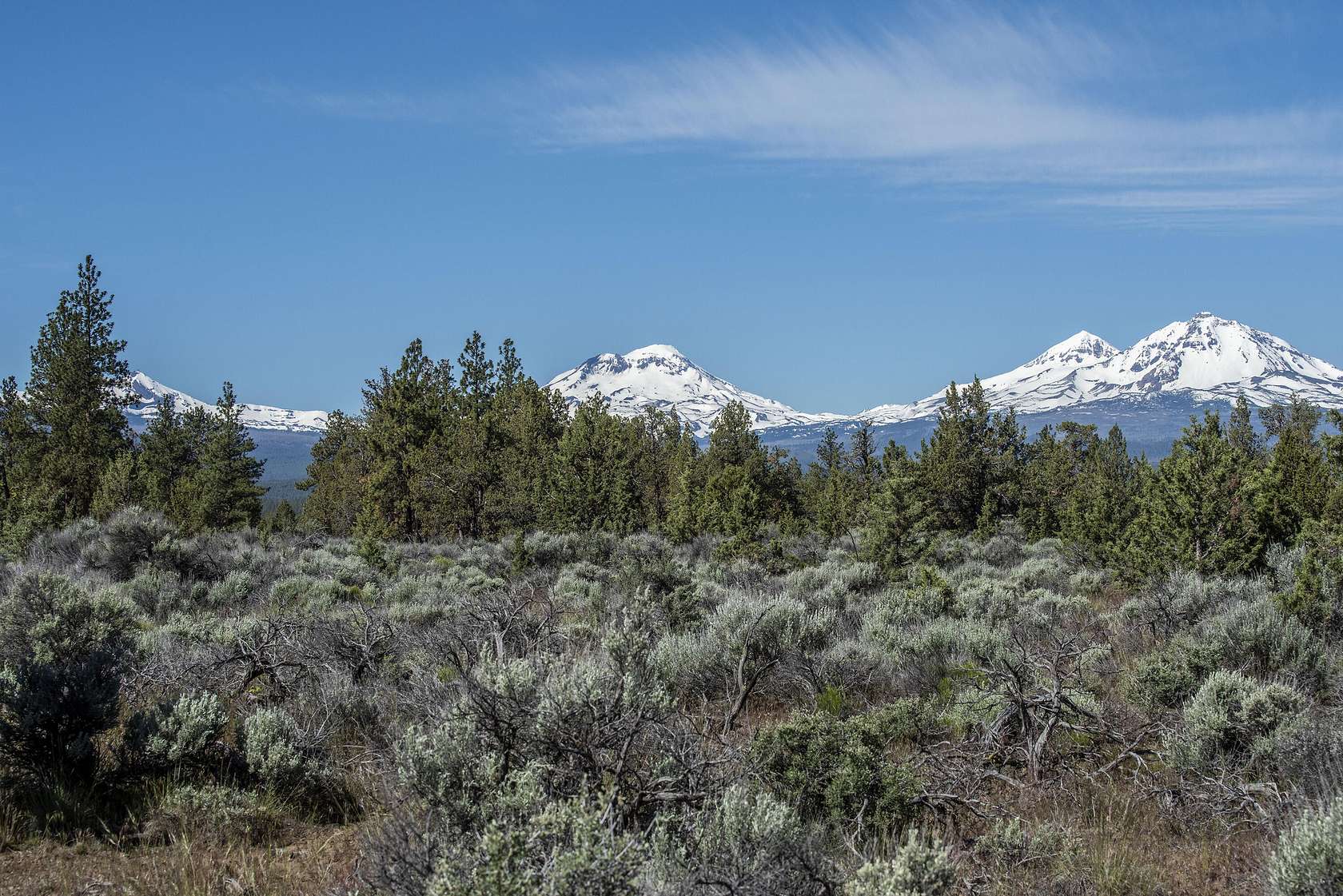 70.7 Acres of Agricultural Land for Sale in Sisters, Oregon