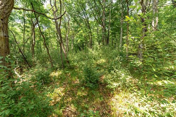 4.7 Acres of Land for Sale in Bellevue, Michigan