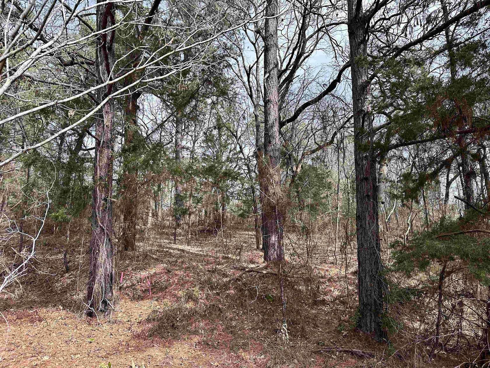 0.18 Acres of Residential Land for Sale in Flint, Texas