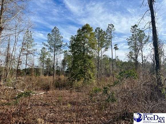 0.75 Acres of Commercial Land for Sale in Timmonsville, South Carolina
