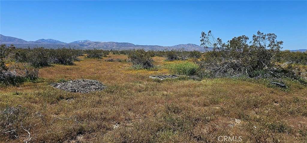 10 Acres of Agricultural Land for Sale in Littlerock, California