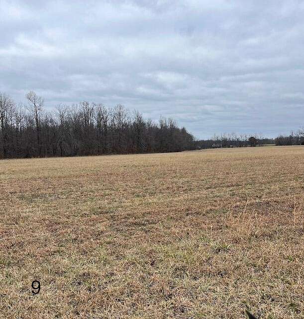 12.1 Acres of Land for Sale in Brodhead, Kentucky