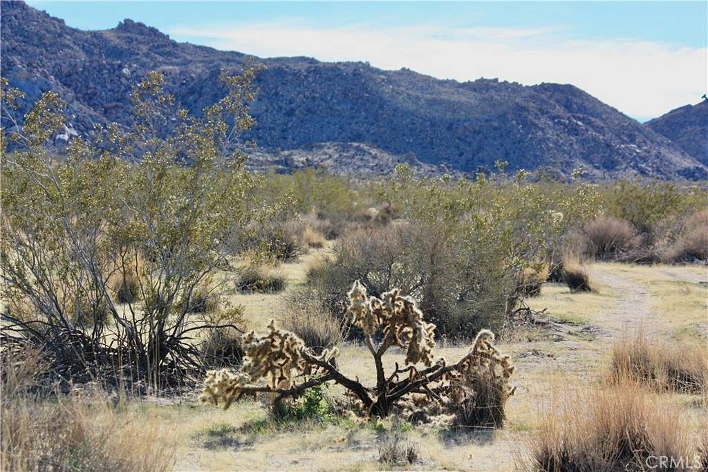 10 Acres of Residential Land for Sale in Joshua Tree, California