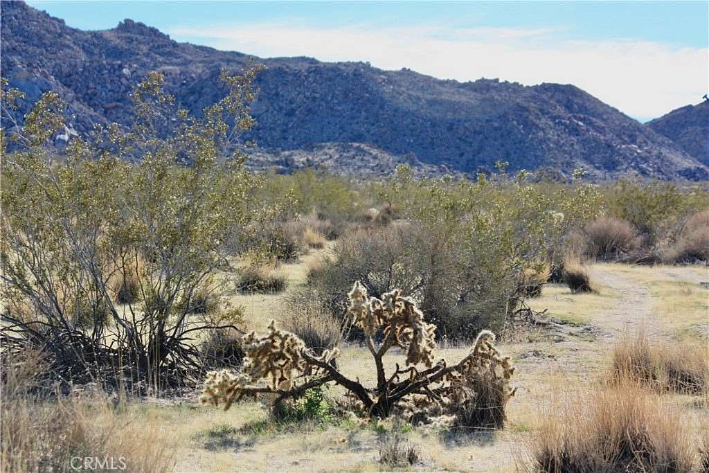 10 Acres of Residential Land for Sale in Joshua Tree, California