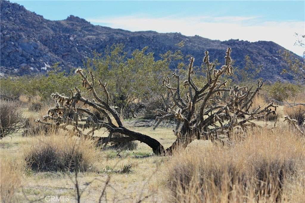 10 Acres of Residential Land for Sale in Joshua Tree, California