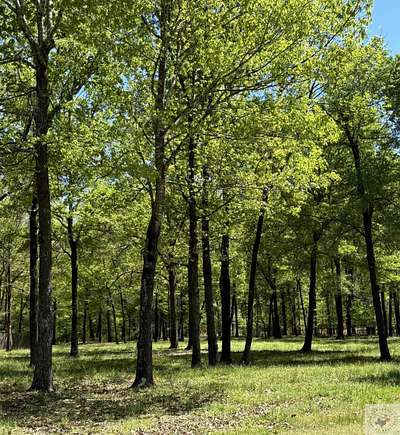 2.4 Acres of Residential Land for Sale in Texarkana, Texas