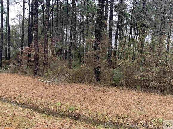 0.53 Acres of Residential Land for Sale in Texarkana, Texas