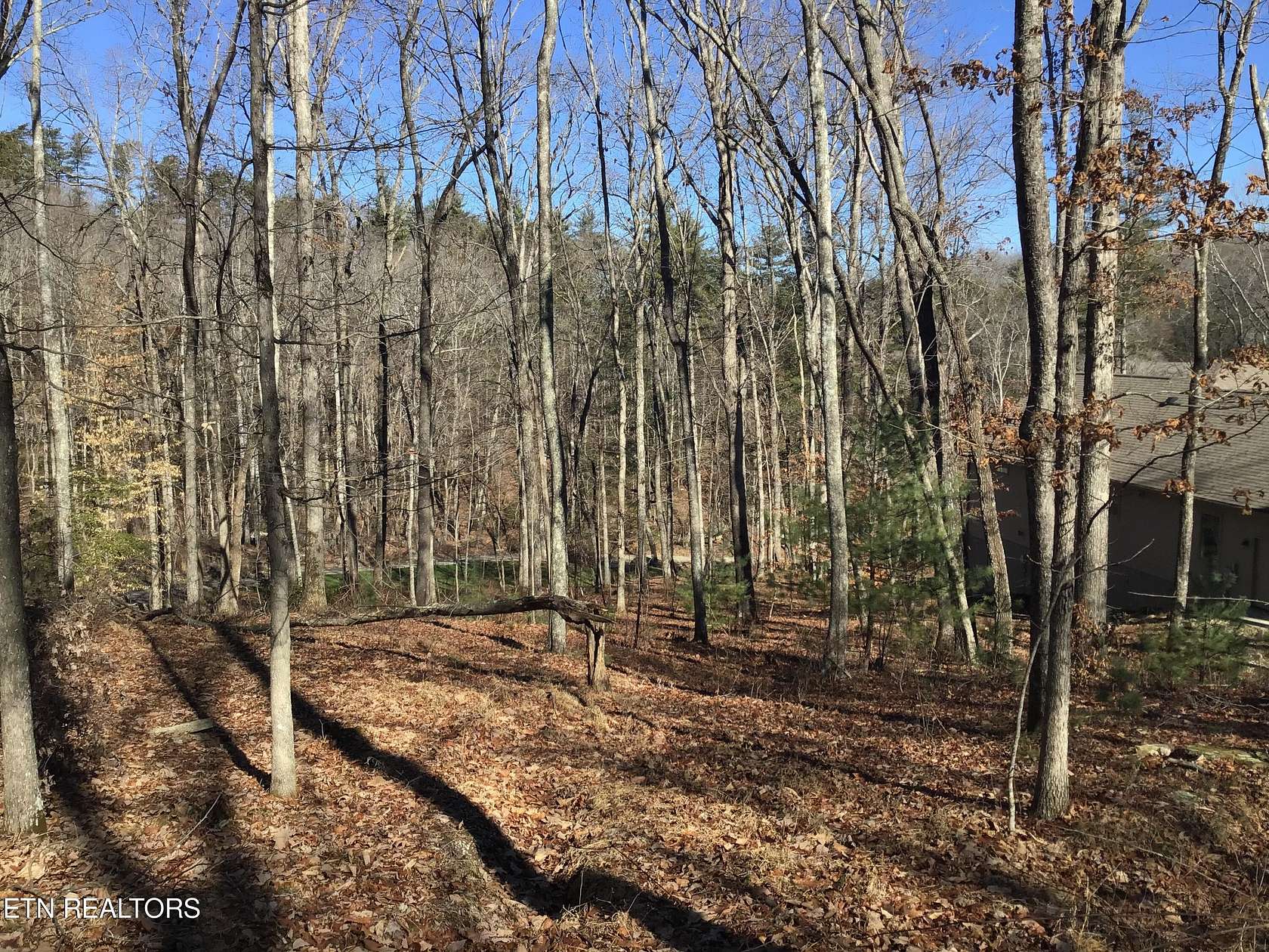 0.51 Acres of Residential Land for Sale in Fairfield Glade, Tennessee